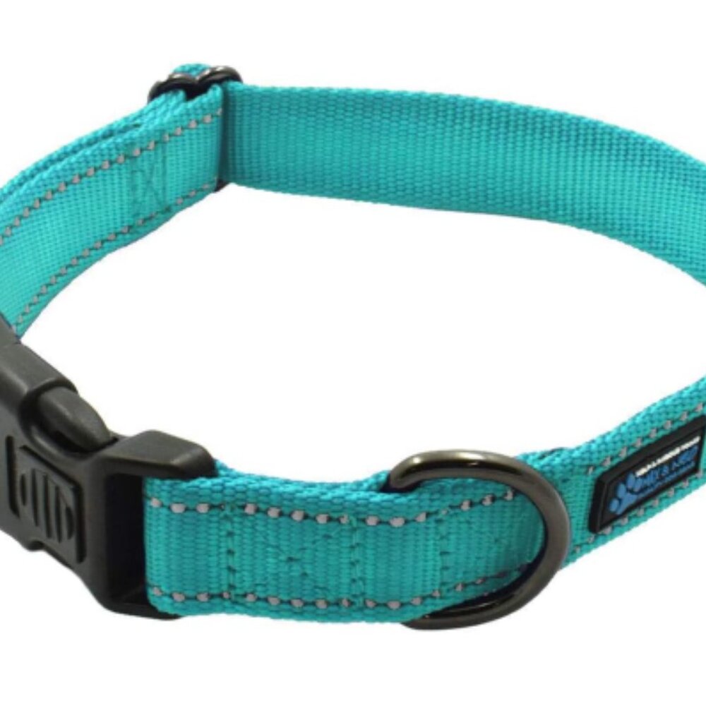 COPY - NWT Max & Neo Teal Reflective Stitched Collar MEDIUM